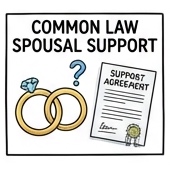 Common Law Spousal Support